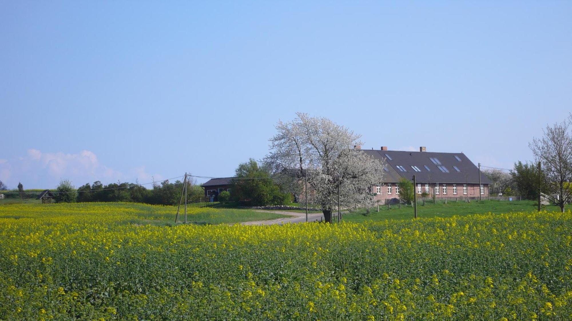 Vogelhaus Gobbin Apartment Lancken-Granitz Екстериор снимка