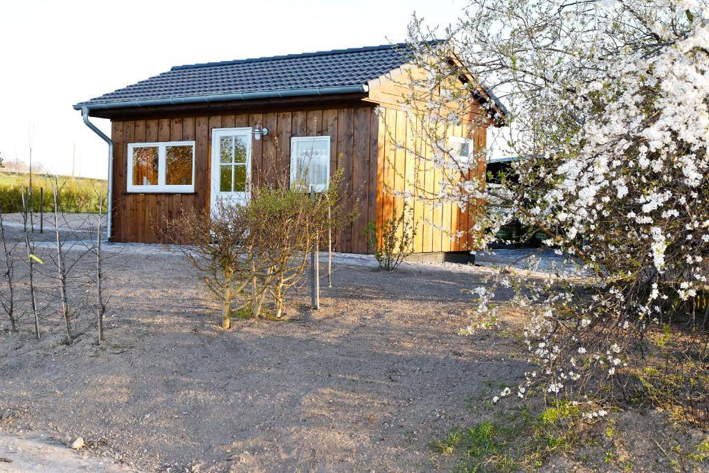 Vogelhaus Gobbin Apartment Lancken-Granitz Екстериор снимка
